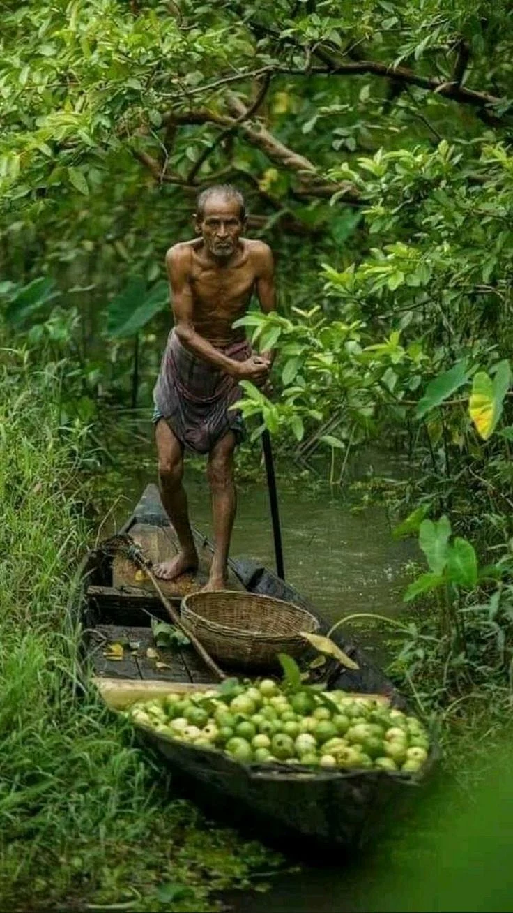 Beauty of nature