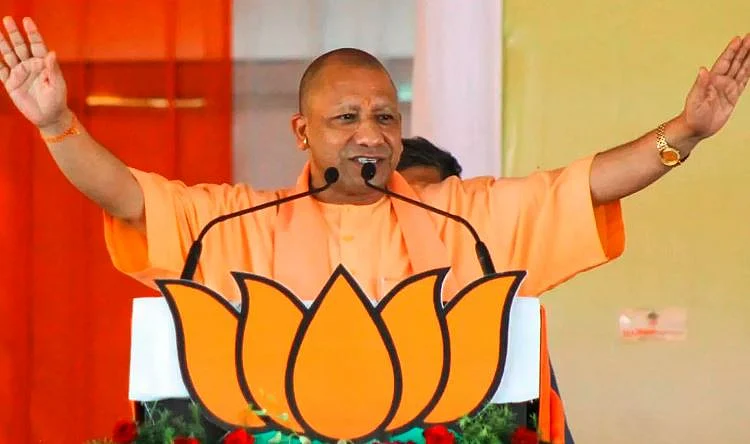 yogi