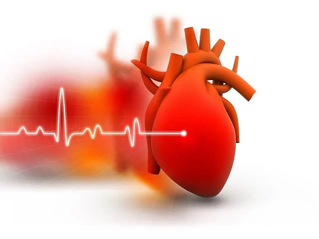 640 480 21297717 thumbnail 16x9 heart