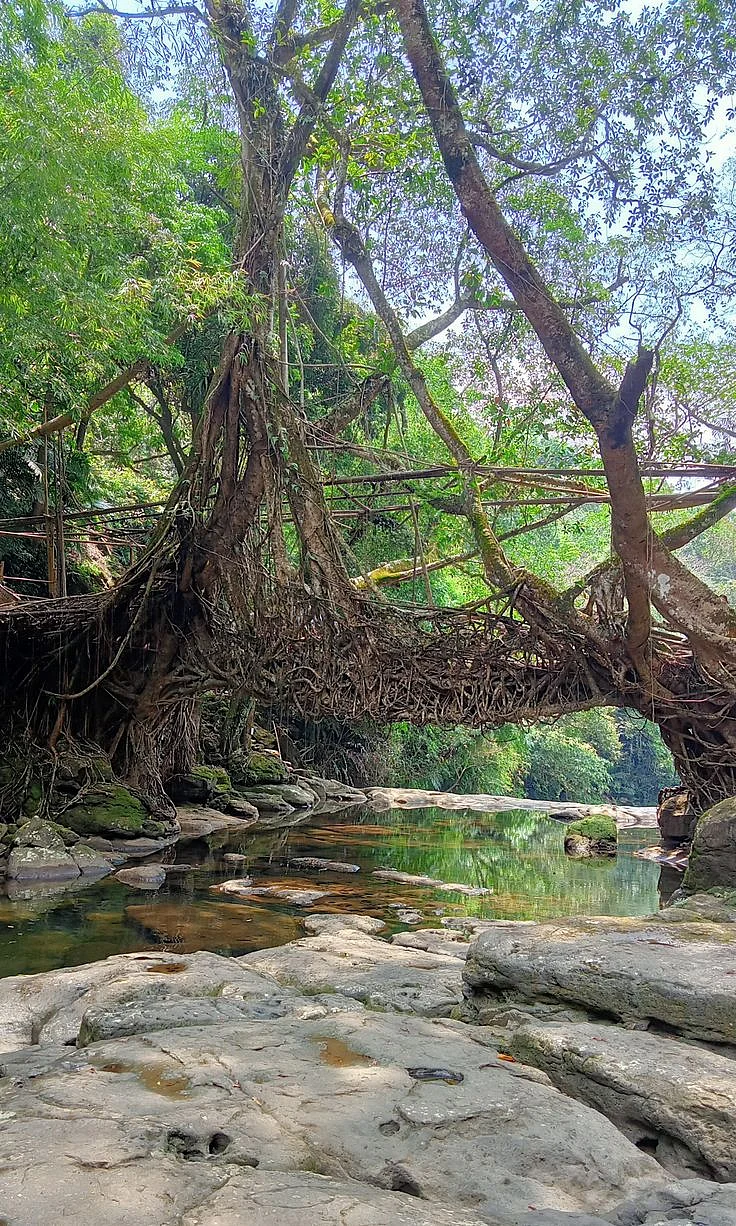 Meghalaya