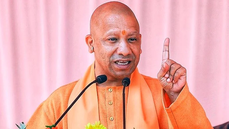 yogi 1