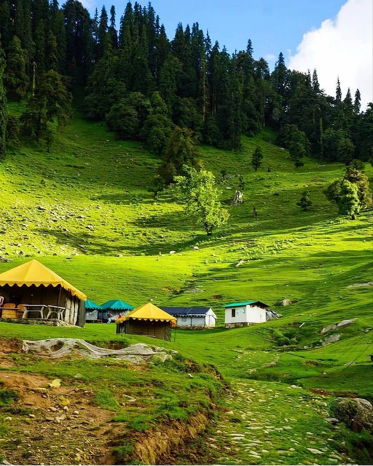 Chopta 💙 walk in nature