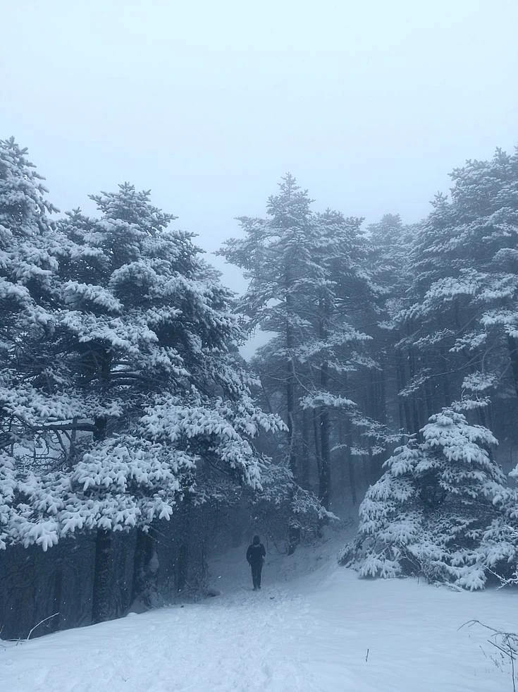 Sandakphu during snow