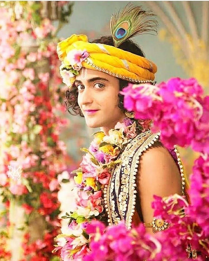 krishna 8