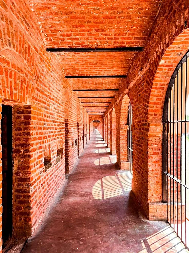 Exploring the Cellular Jail