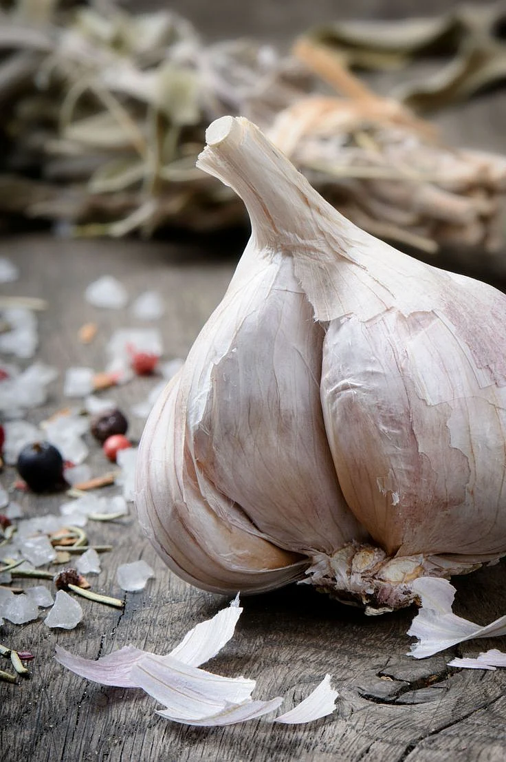 Garlic 9