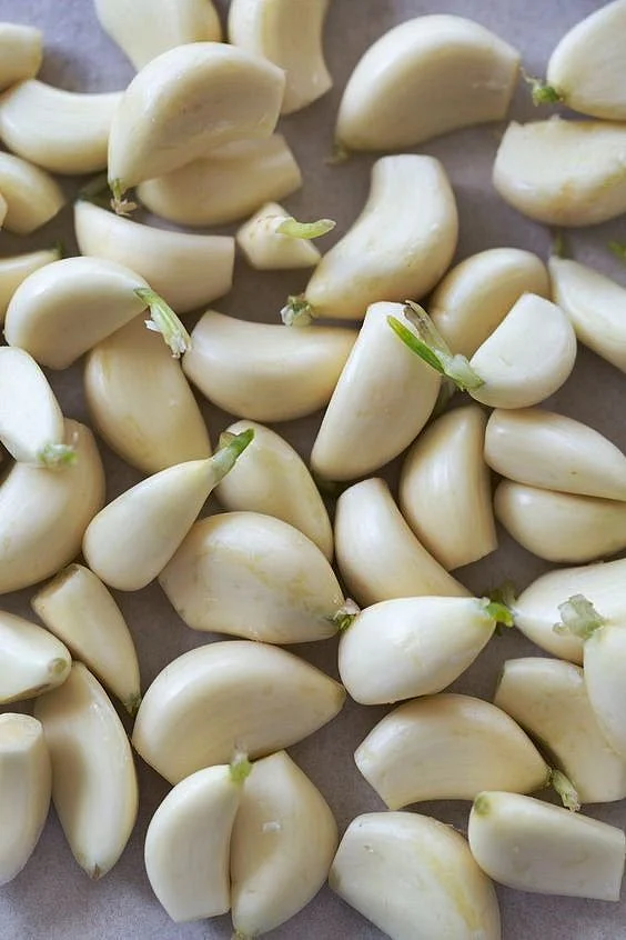 Garlic 8