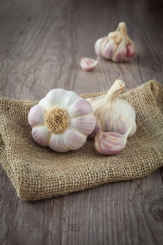Garlic 6