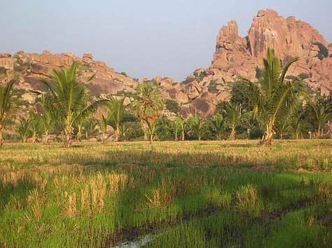 p217822 Hampi VirupapurGaddi