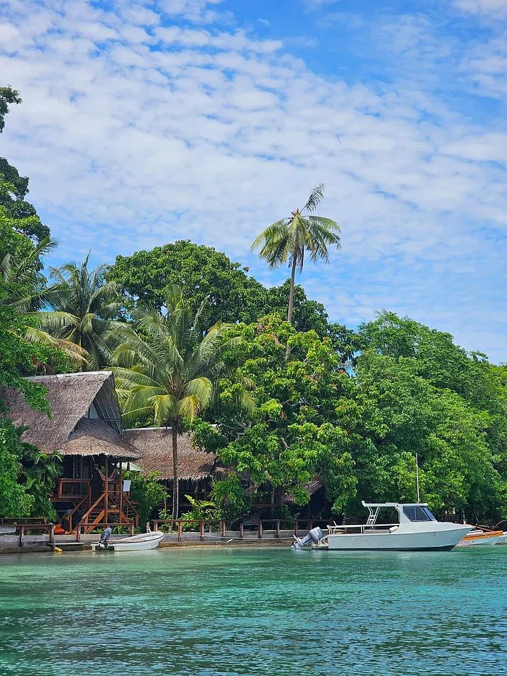 new guinea island