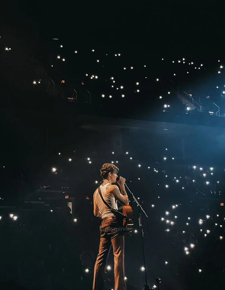 Shawn Mendes Wonder The World Tour Winnipeg