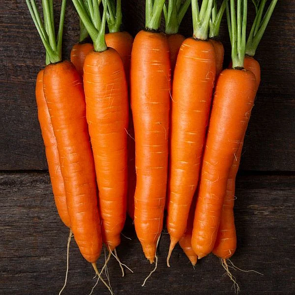 Carrots 4