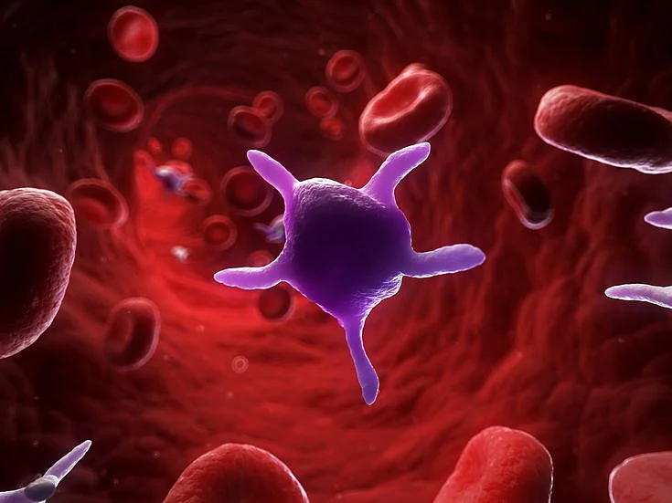What Do Your Blood Platelets Do