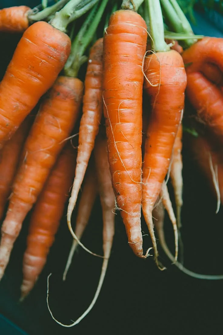 Carrots 3