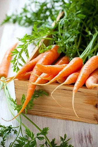Carrots 5