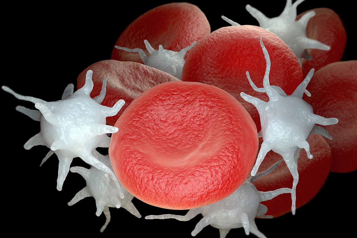red blood cells and activated platelets AdobeStock264814108
