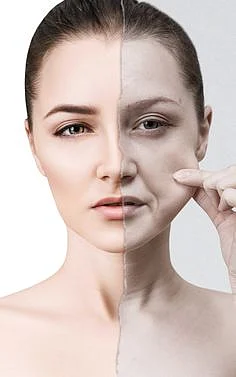 Collagen
