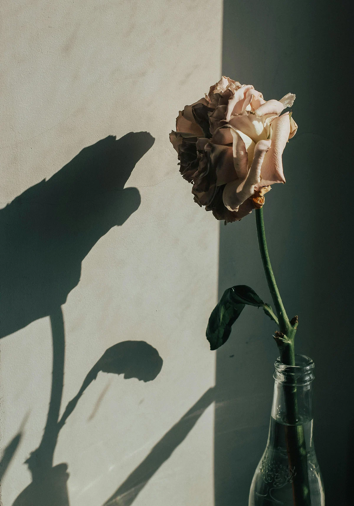 pexels marta dzedyshko 1042863 2377470