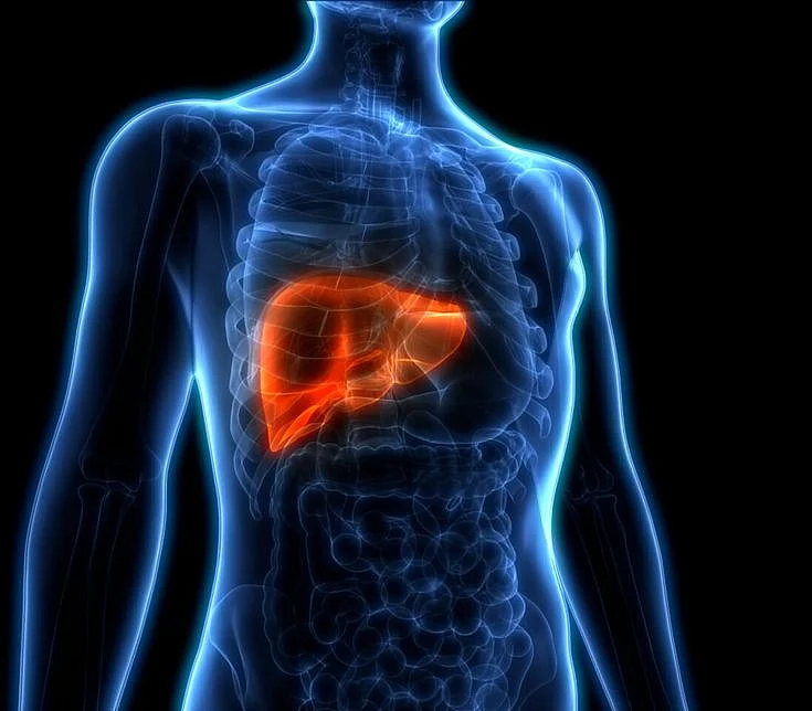 Liver Renew