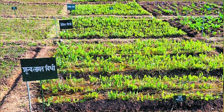 natural farming 1576194256