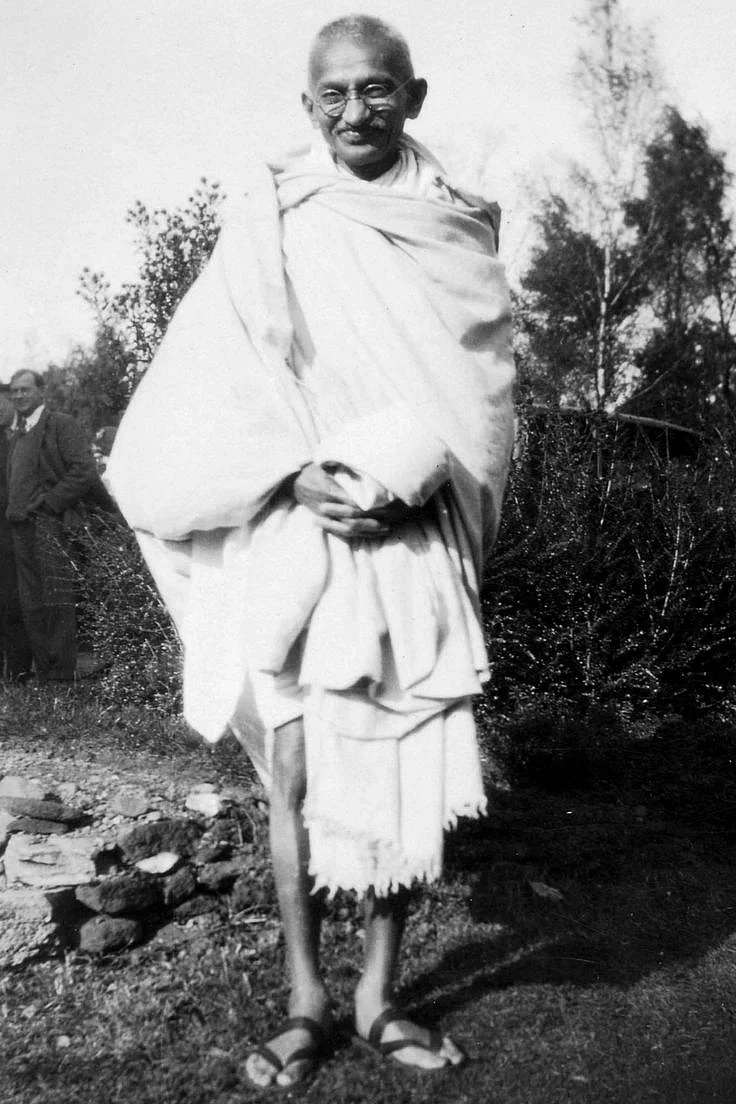 Arundhati Roy goddess of big ideas