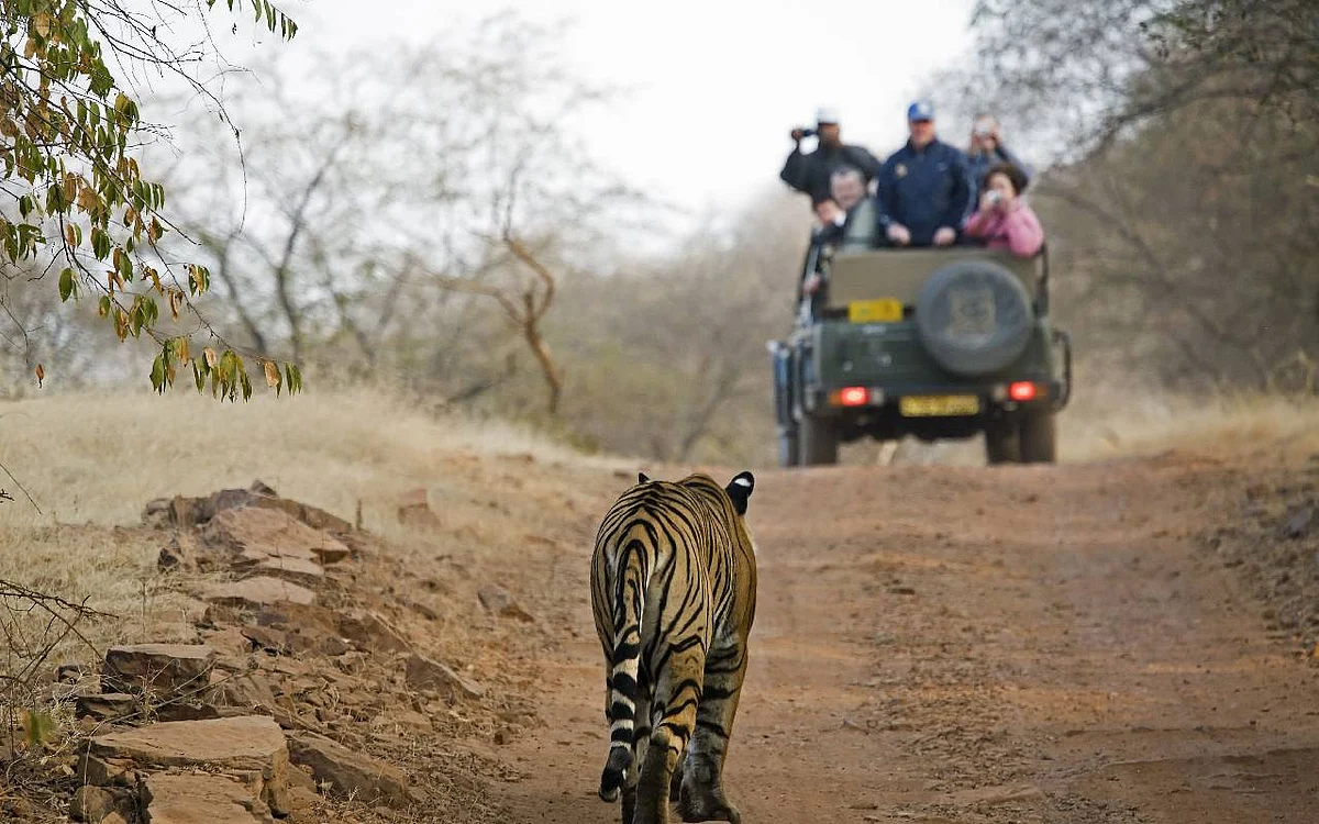 national parks in india
