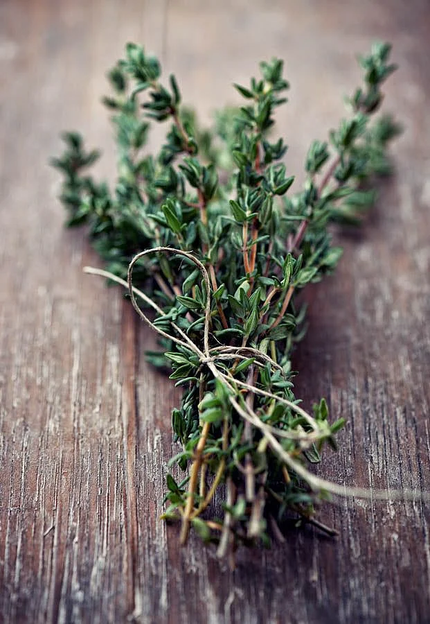 Thyme