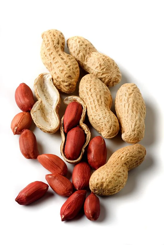 Food Allergies Causes Symptoms Treatment ACAAI Public Website