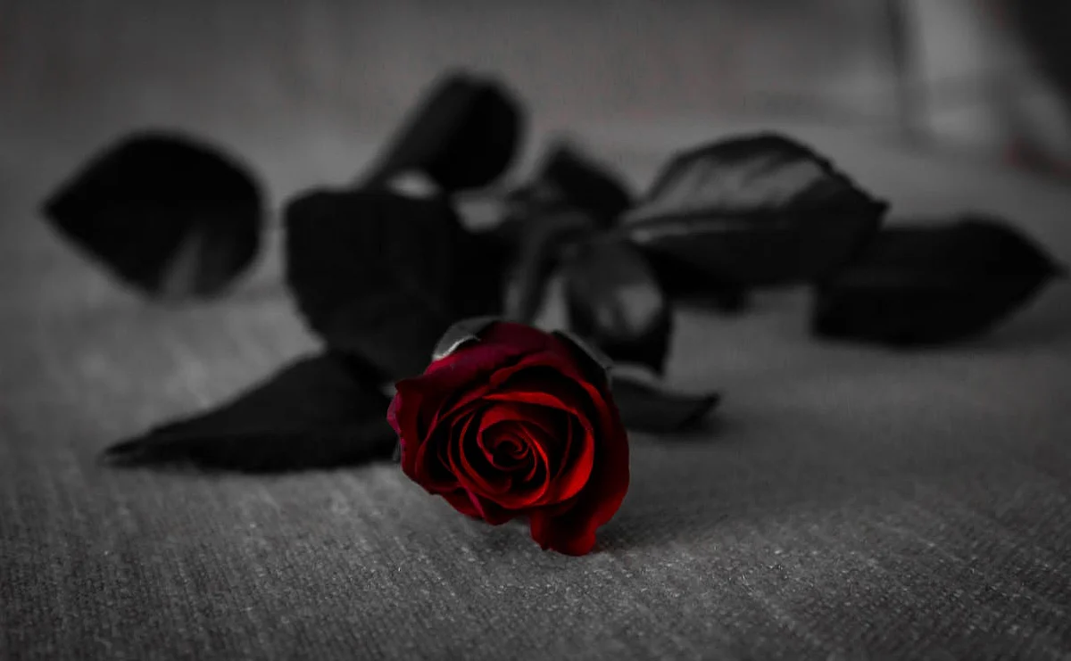flowers 3