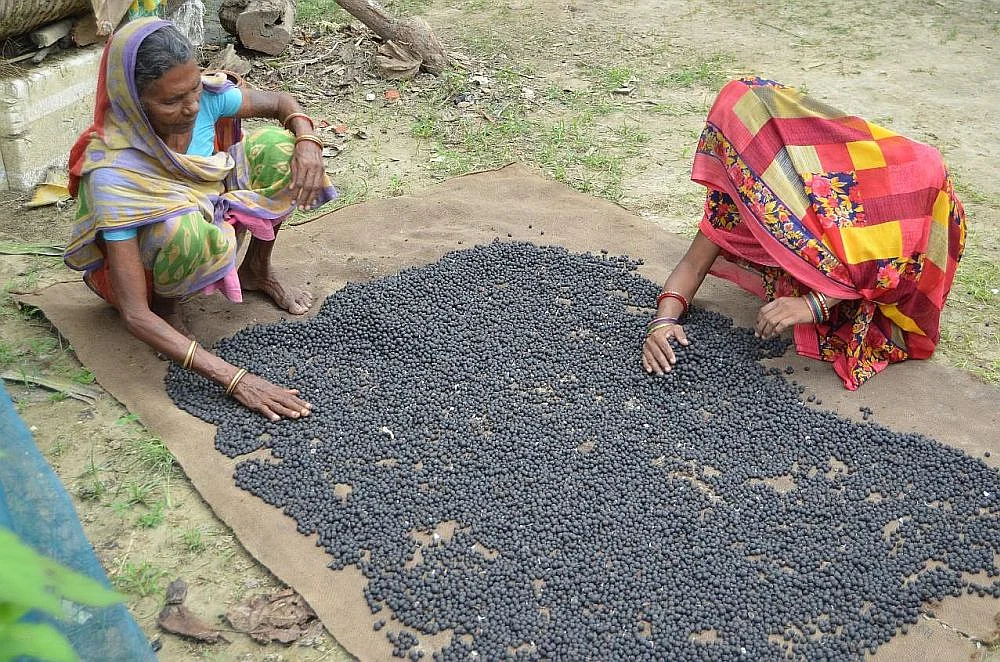 Mithila Naturls women makhana1