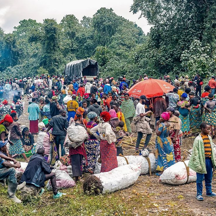 Covid has killed over 5 percent of lawmakers in Congo’s Parliament Published 2021