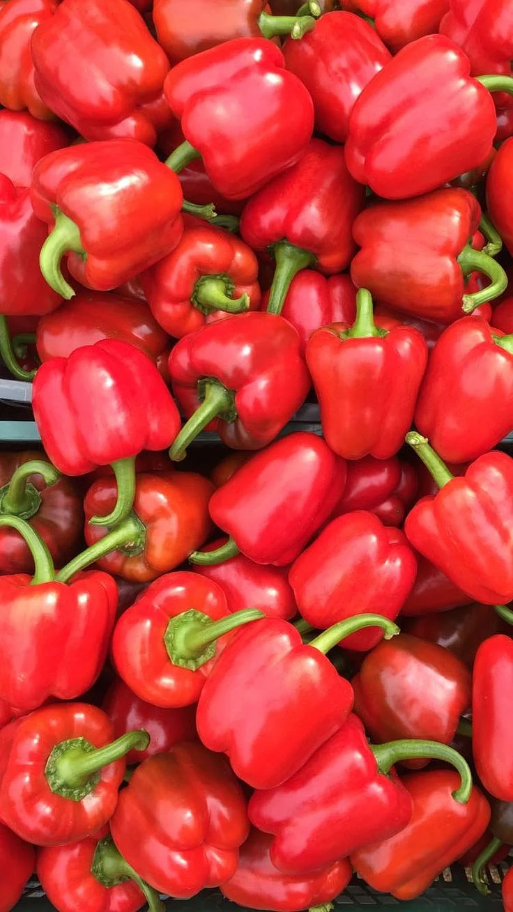 red capsicum