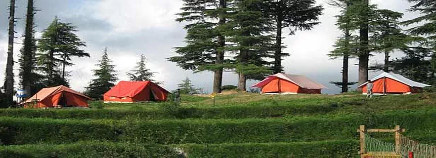 camp thangdhar