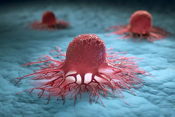 Groundbreaking Discovery A Better Understanding of Cancer and Heart Disease
