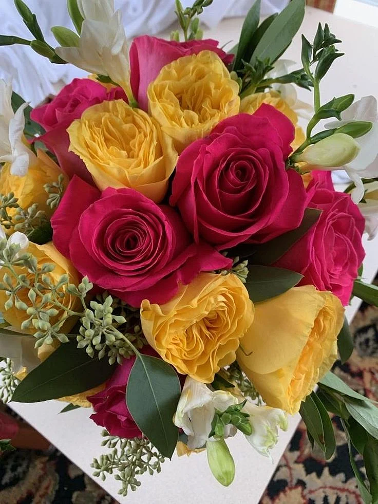 colorful rose 2