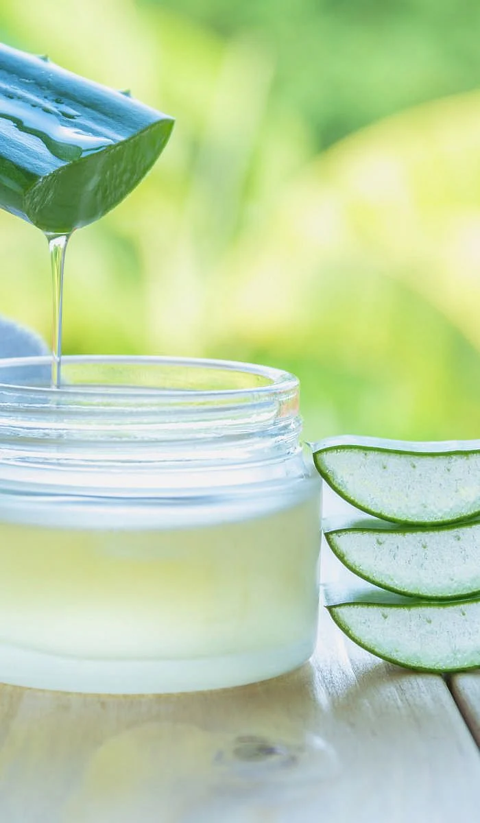 Aloe Vera 3