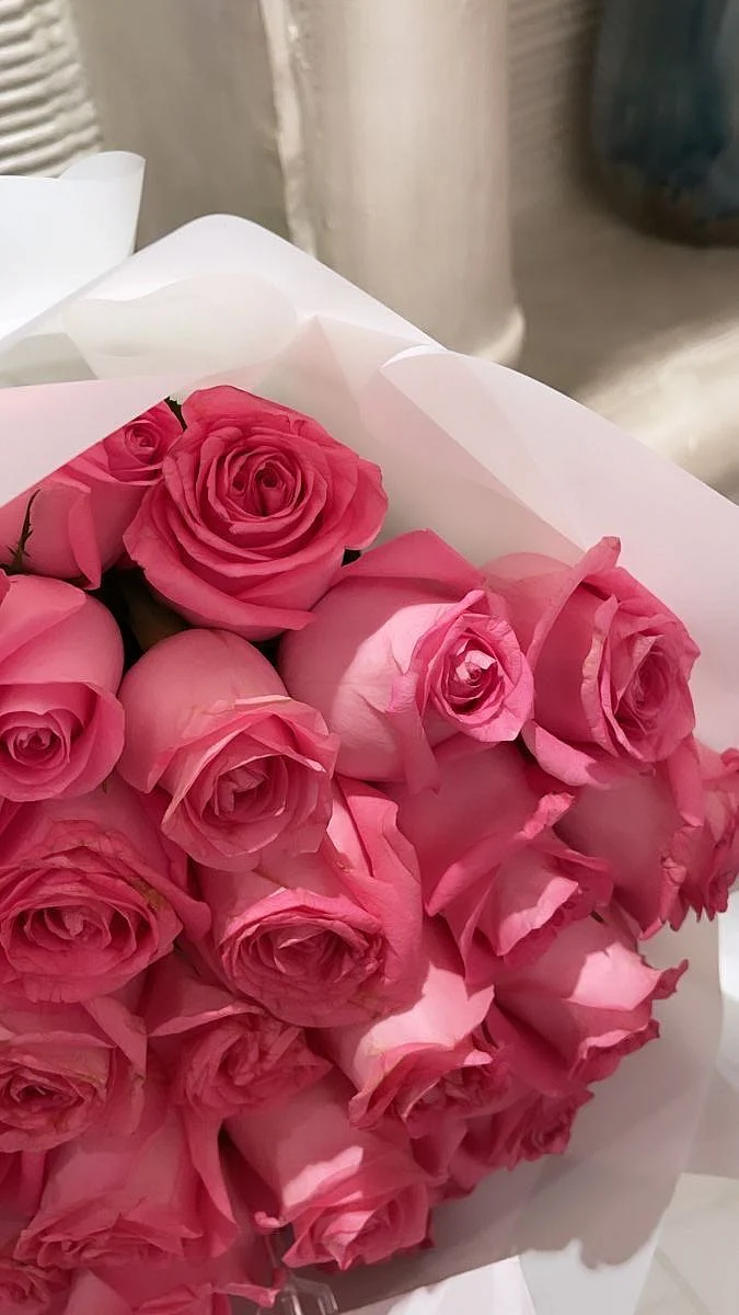 pink rose