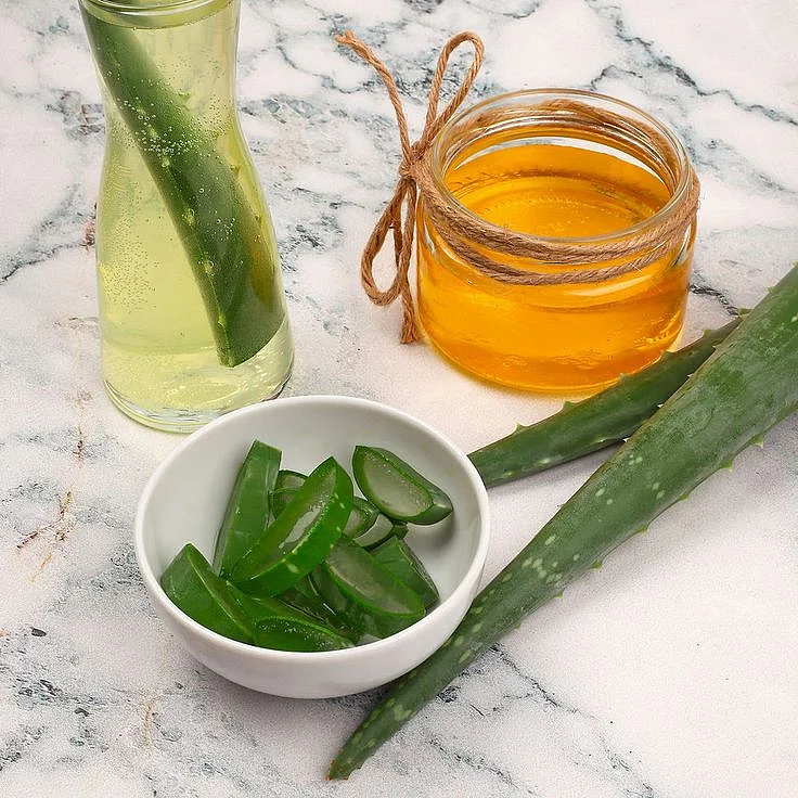Aloe Vera 00