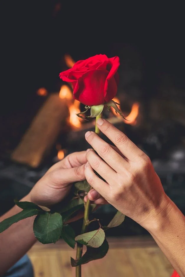 Par segurando luminoso rosa vermelha em mãos Foto Grátis