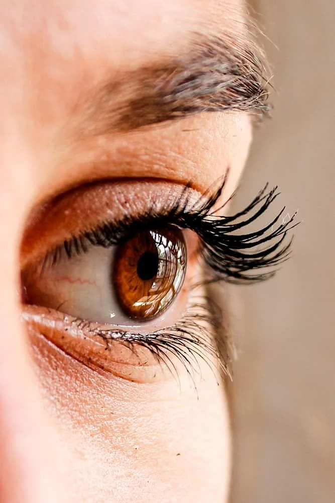 eyes
