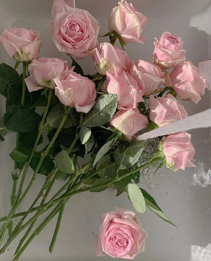 Colour Inspiration Pink Pastels for March Days This Is Glamorous TIG
