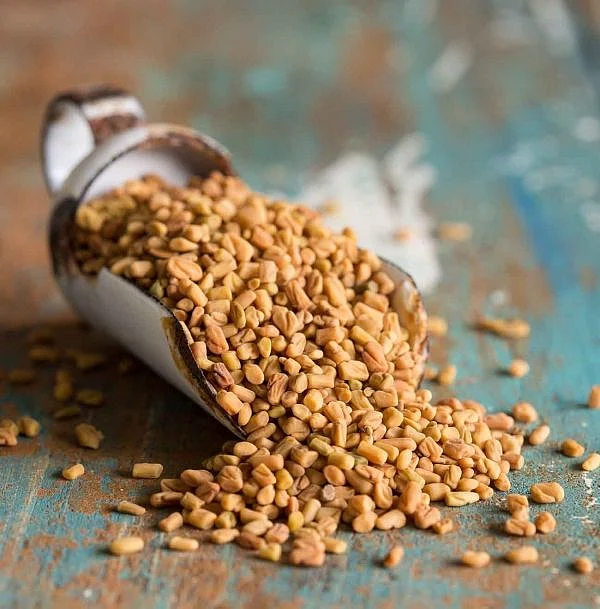 Fenugreek Seeds 9
