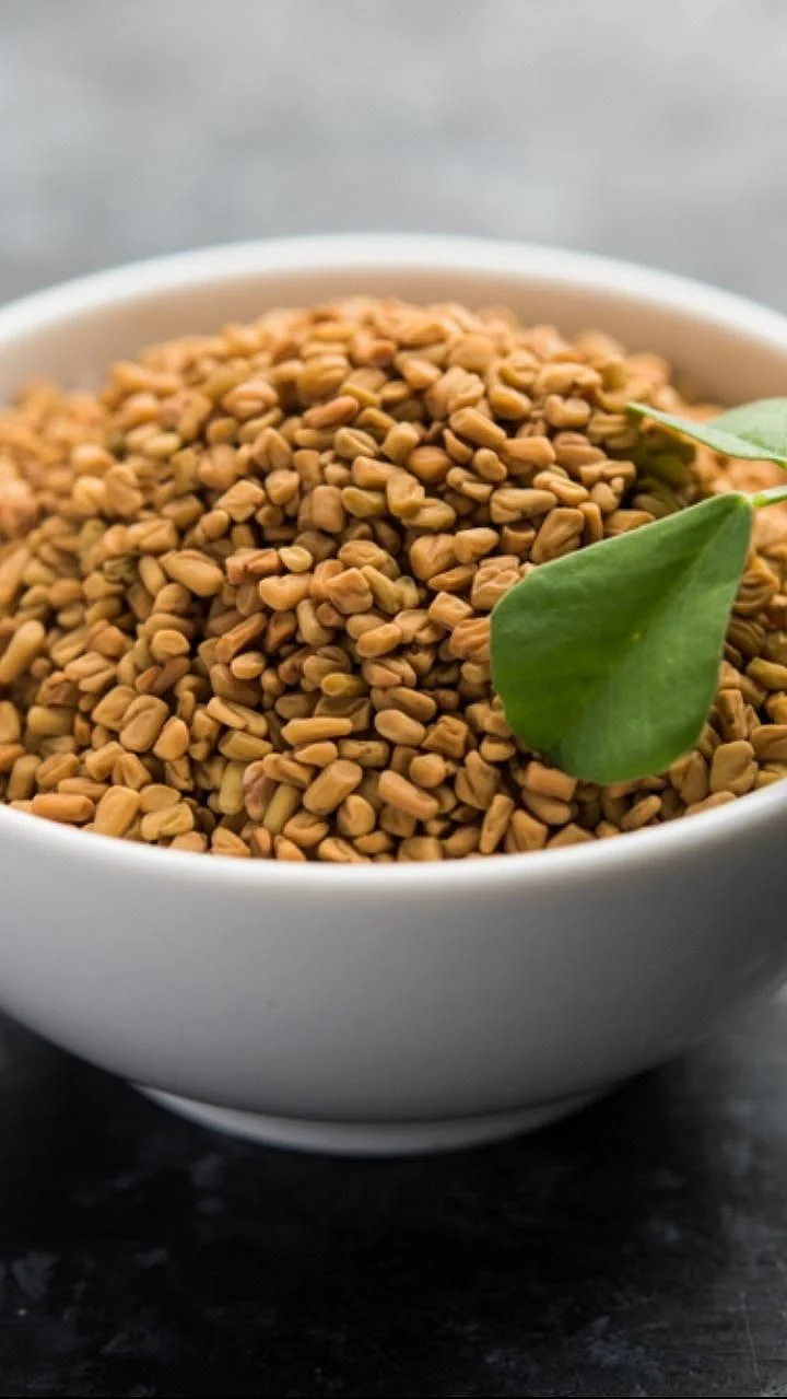 Fenugreek Seeds 4