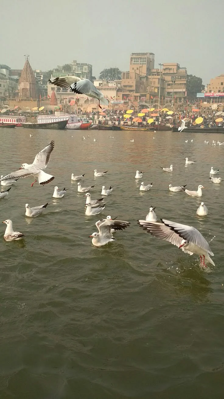 ganga river 6