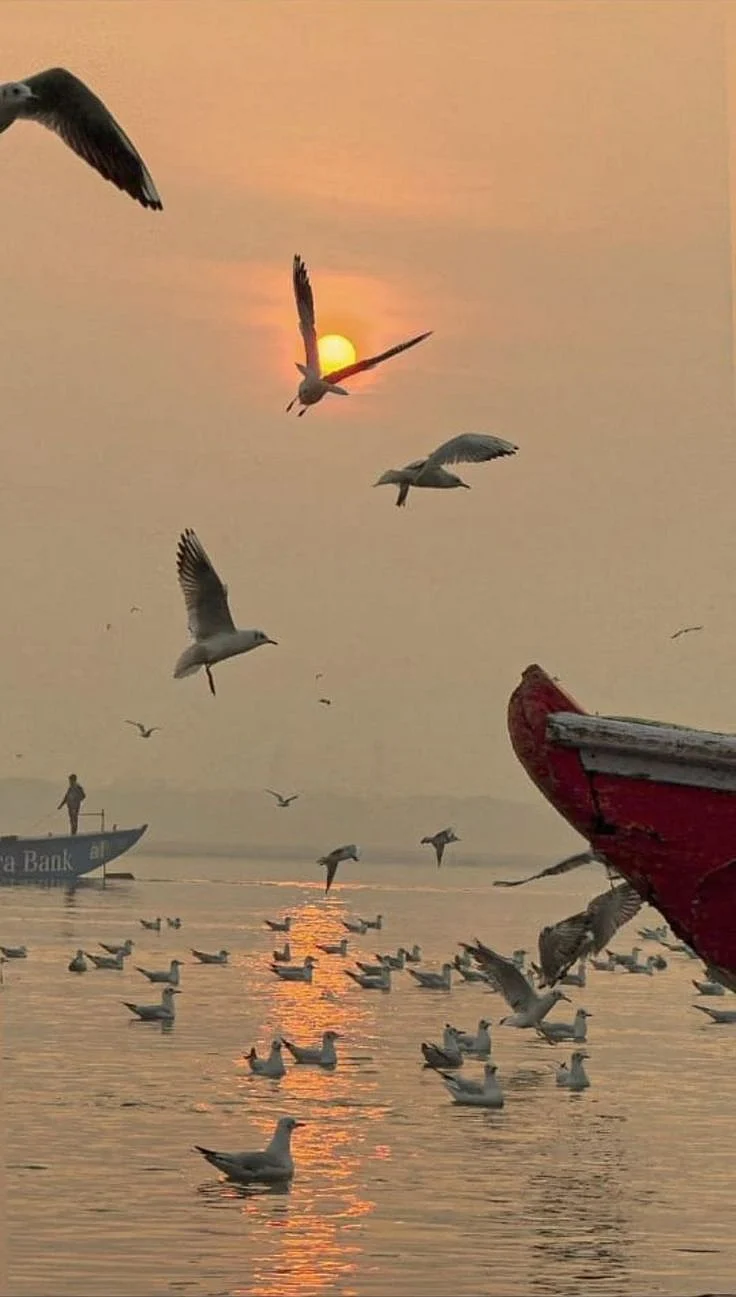 ganga river 3