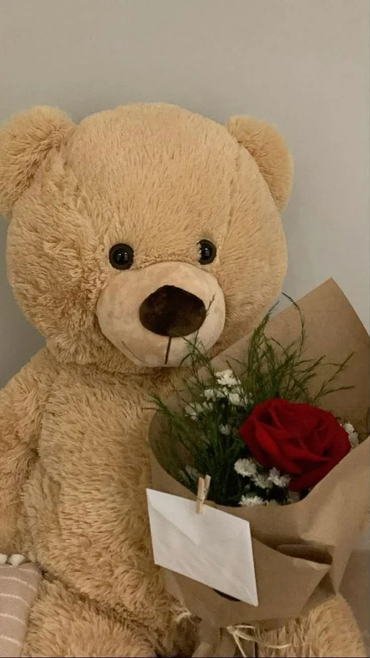 Valentines Day Teddy Bear Valentines Day Gift for Girlfriend Giant Teddy Bear Plush Toy Gift Ideas