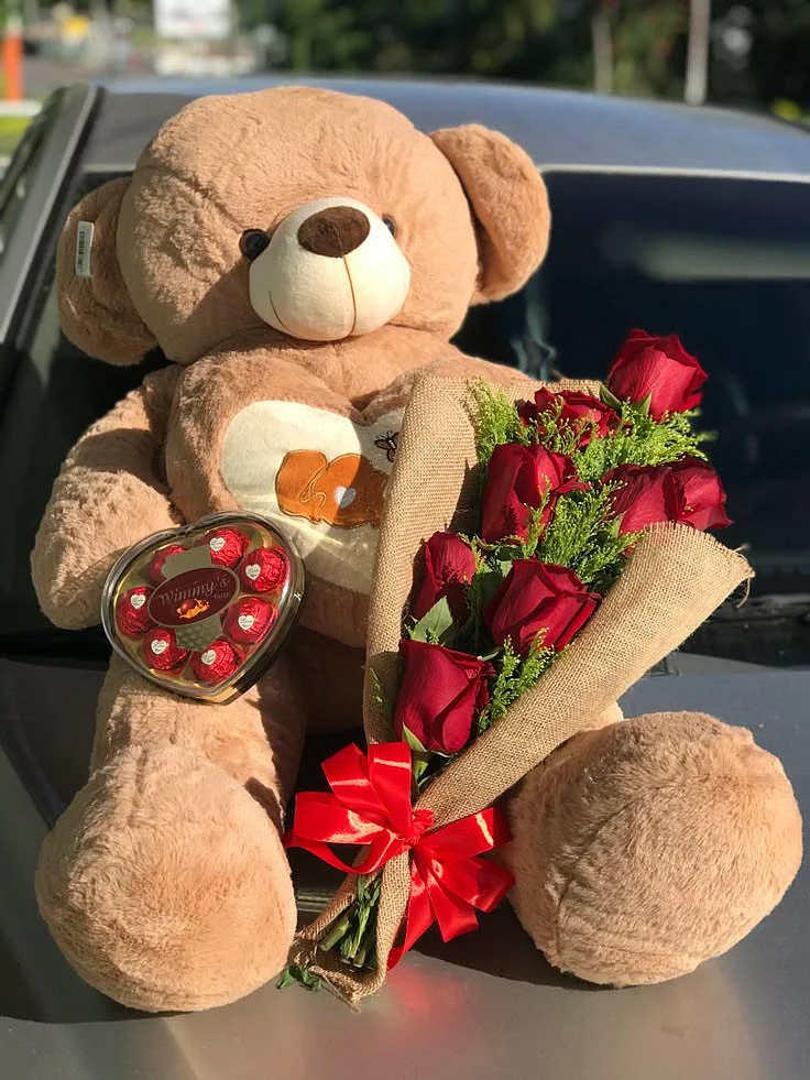Peluche y rosas san Valentín 💕