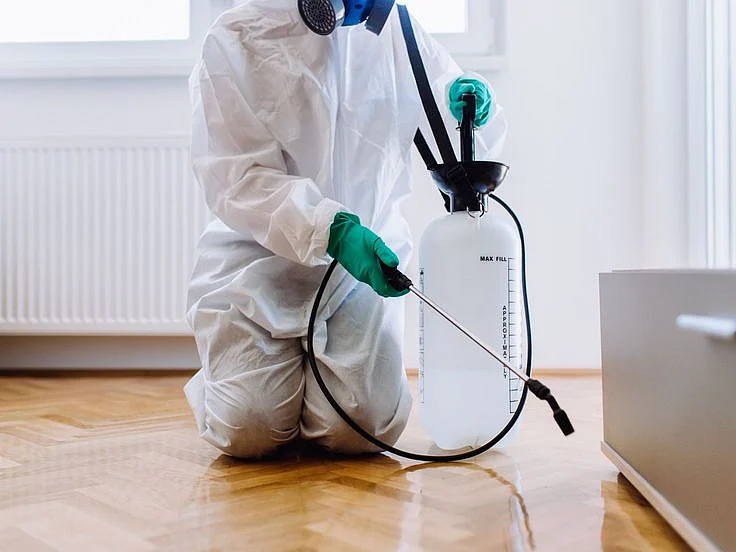 pest control