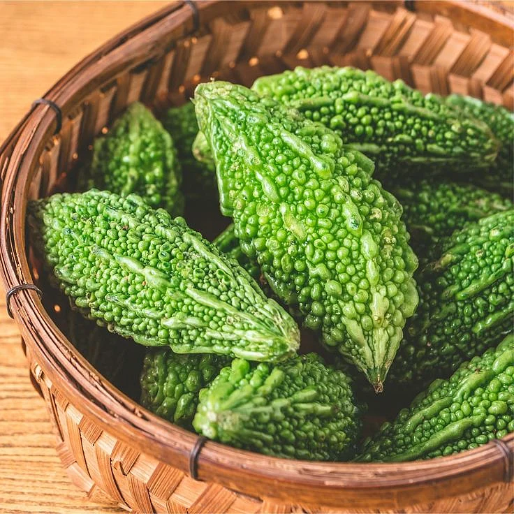 Bitter Gourd 7