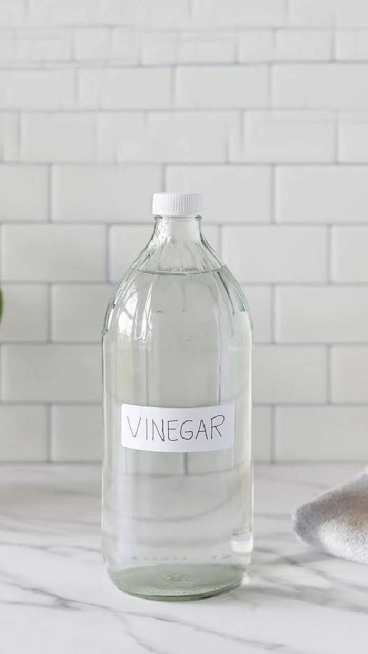 Vinegar